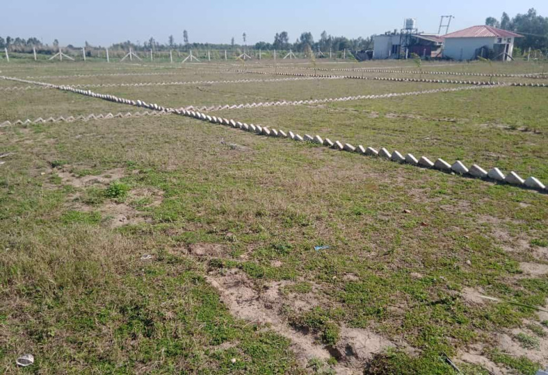  Residential Plot 100 Sq. Yards for Sale in Herbertpur, Dehradun