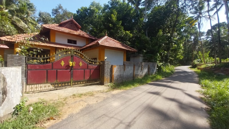  Commercial Land 28 Cent for Sale in Neyyattinkara, Thiruvananthapuram