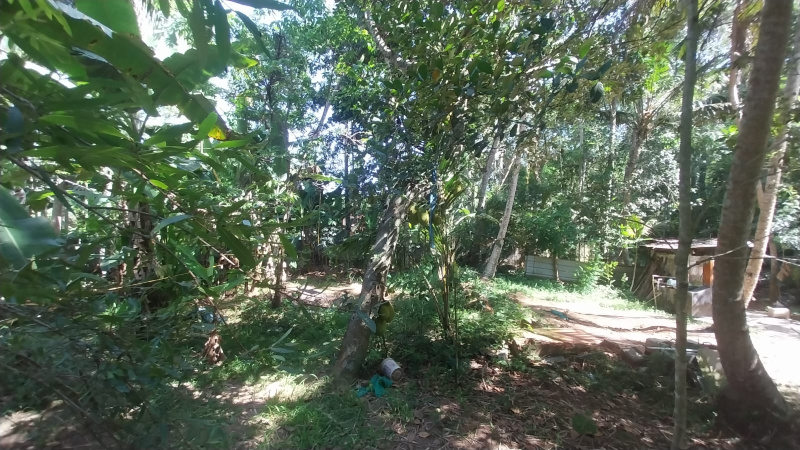  Commercial Land 28 Cent for Sale in Neyyattinkara, Thiruvananthapuram
