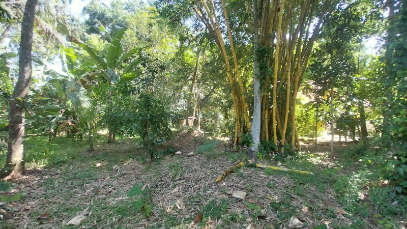  Commercial Land 28 Cent for Sale in Neyyattinkara, Thiruvananthapuram