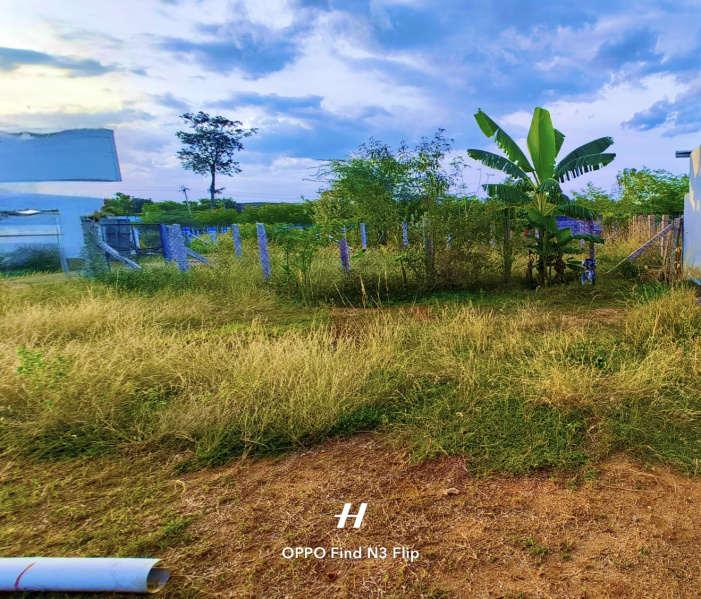  Residential Plot 1250 Sq.ft. for Sale in Aranthangi, Pudukkottai