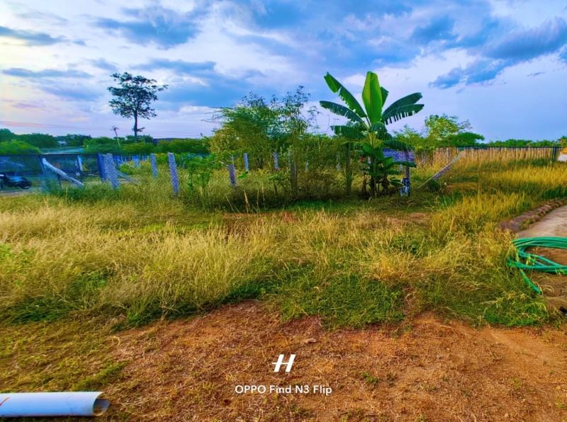  Residential Plot 1250 Sq.ft. for Sale in Aranthangi, Pudukkottai