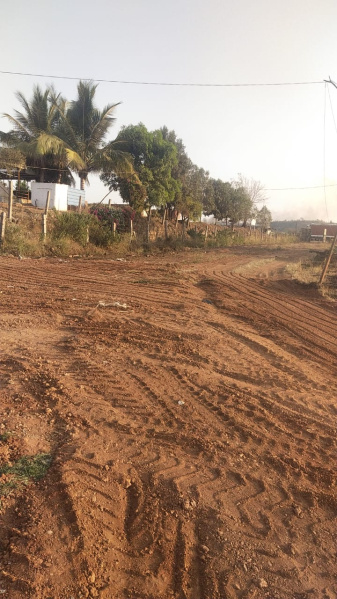  Agricultural Land 2500 Sq. Yards for Sale in Kohir, Sangareddy