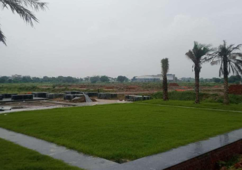  Residential Plot 124 Sq.ft. for Sale in Sohna, Gurgaon