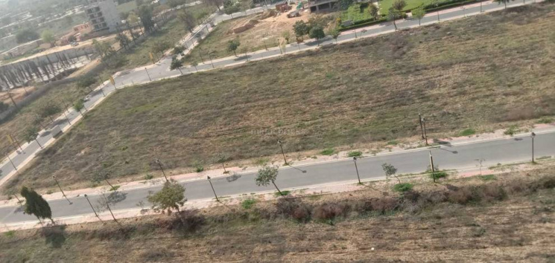  250 Sq. Yards Residential Plot for Sale in Sector 92 Gurgaon