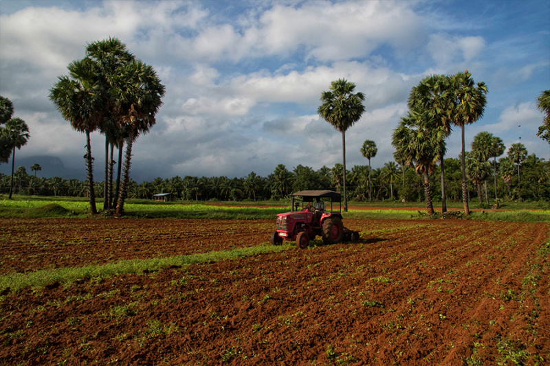  Agricultural Land 2 Ares for Sale in Pollachi, Coimbatore
