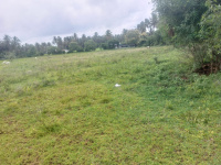  Agricultural Land for Sale in Pollachi, Coimbatore