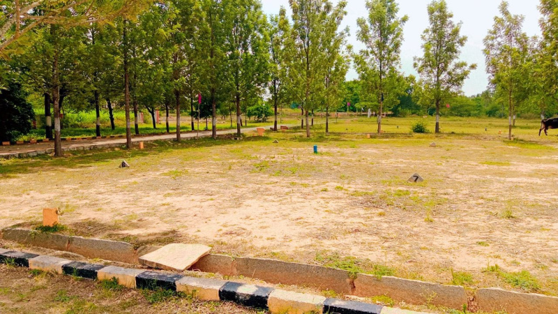  Residential Plot 1200 Sq.ft. for Sale in Bagalur Road, Hosur