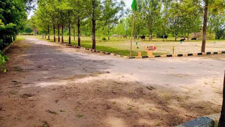  Residential Plot 1200 Sq.ft. for Sale in Bagalur Road, Hosur