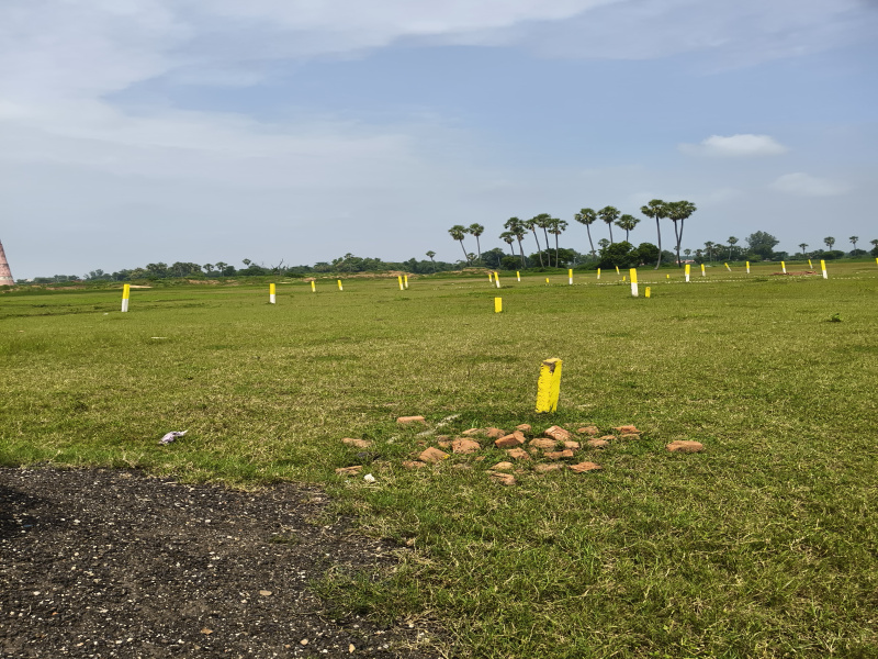  Residential Plot 1200 Sq.ft. for Sale in Rajgir, Nalanda