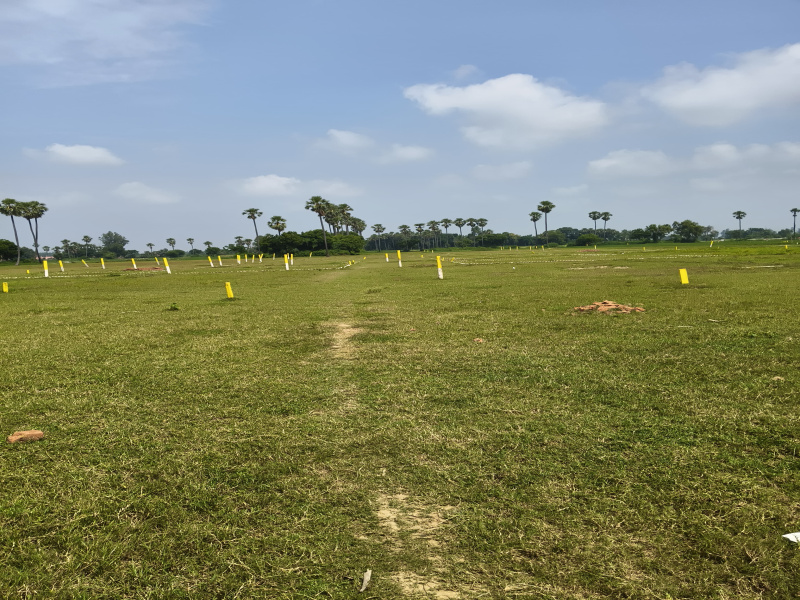  Residential Plot 1200 Sq.ft. for Sale in Rajgir, Nalanda