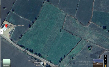  Residential Plot for Sale in Imalia, Damoh