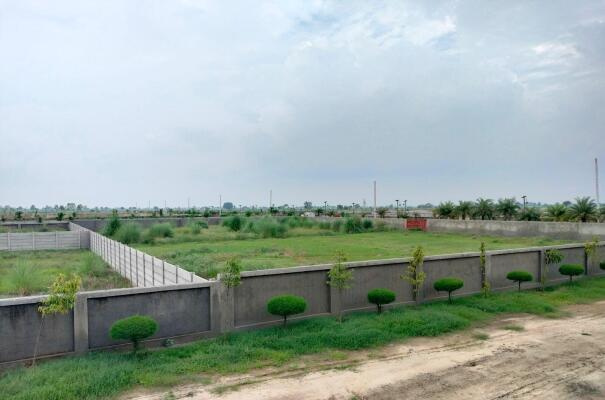  Residential Plot 121 Sq. Yards for Sale in Yamuna Expressway, Greater Noida