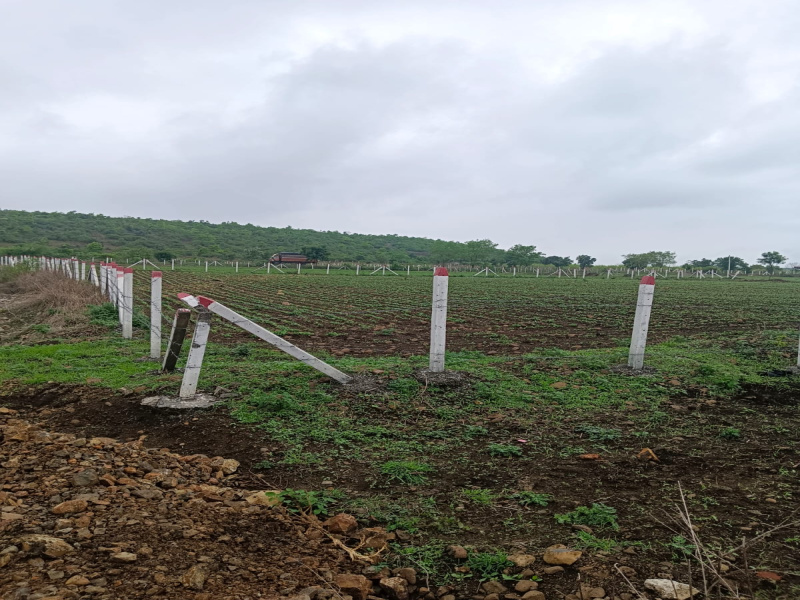  Residential Plot 5000 Sq.ft. for Sale in Sonkatch, Dewas