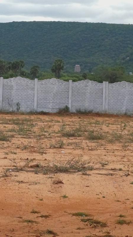  Residential Plot 1200 Sq.ft. for Sale in A. Vellalapatti, Madurai