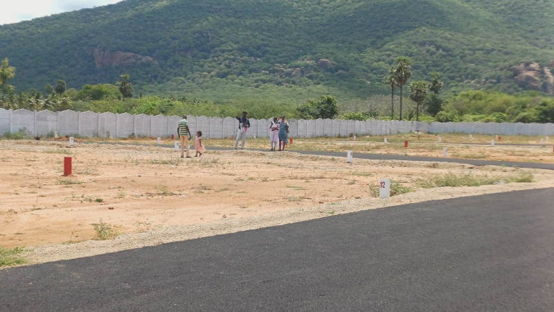  Residential Plot 1200 Sq.ft. for Sale in A. Vellalapatti, Madurai