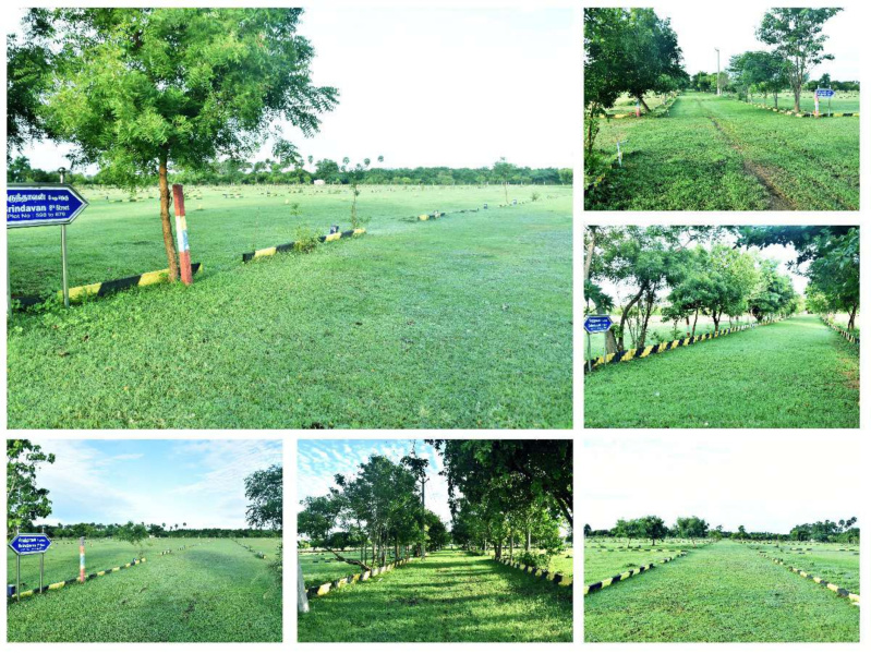  1000 Sq.ft. Residential Plot for Sale in Arakonam, Chennai