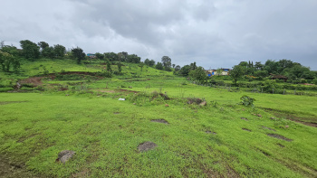  Residential Plot for Sale in Pali, Raigad