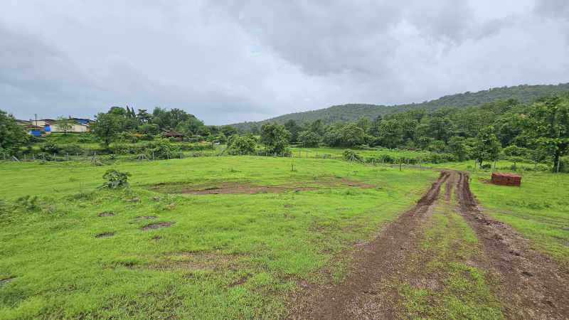  Residential Plot 21520 Sq.ft. for Sale in Pali, Raigad
