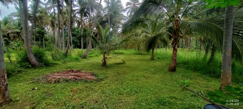  Agricultural Land for Sale in Channarayapatna, Hassan
