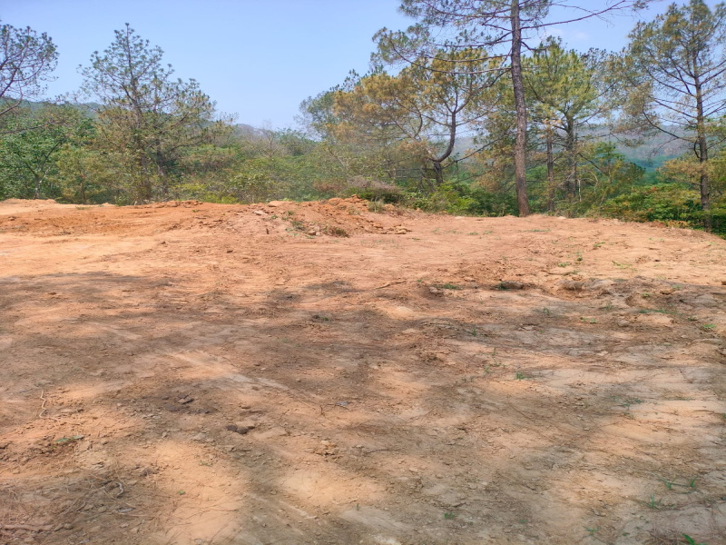  Residential Plot 1000 Marla for Sale in Bhira, Hamirpur
