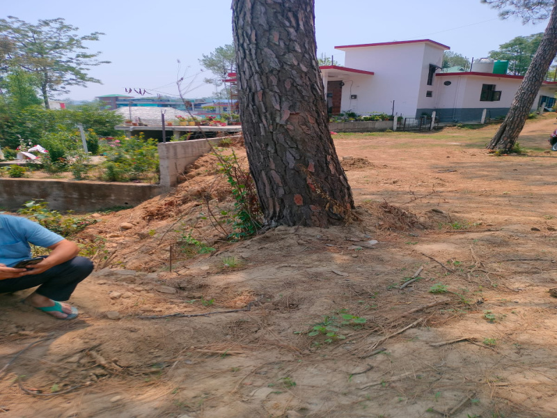  Residential Plot 1000 Marla for Sale in Bhira, Hamirpur