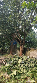  Industrial Land for Sale in Palej, Bharuch