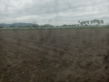  Agricultural Land for Sale in Narasaraopet, Guntur