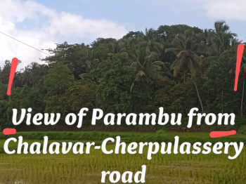  Residential Plot for Sale in Cherpulassery, Palakkad