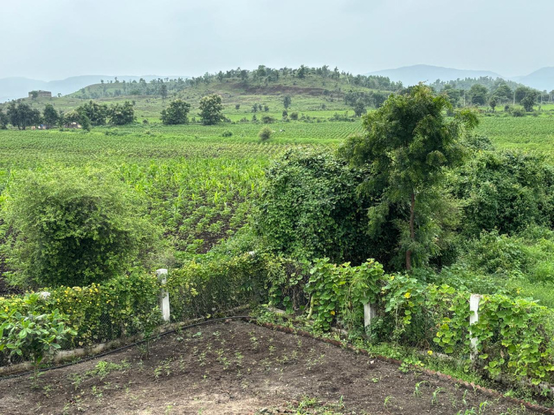  Residential Plot 10000 Sq.ft. for Sale in Balwada, Khandwa