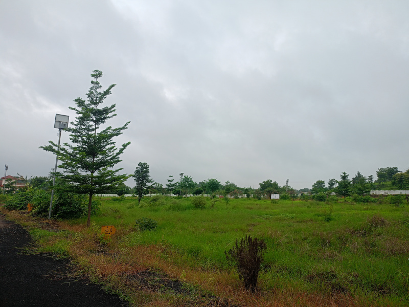  Agricultural Land 5000 Sq.ft. for Sale in Amrawati, Nagpur