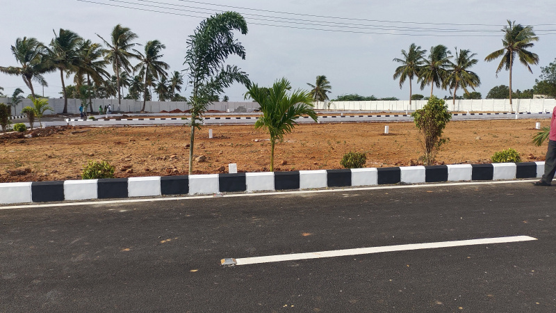  Residential Plot 1200 Sq.ft. for Sale in Panjapur, Tiruchirappalli