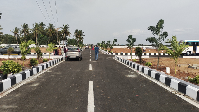  Residential Plot 1200 Sq.ft. for Sale in Panjapur, Tiruchirappalli