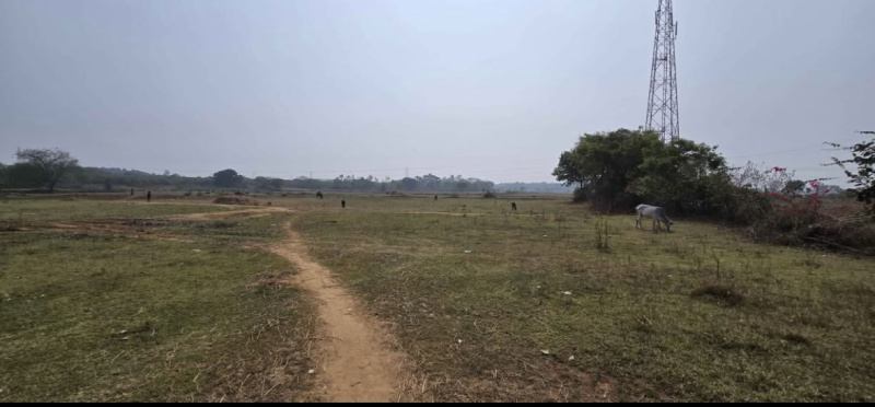  Industrial Land 115 Guntha for Sale in Gobindpur, Dhenkanal