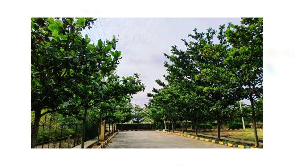  Residential Plot 1200 Sq.ft. for Sale in Soukya Road, Bangalore
