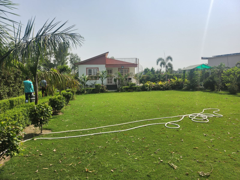 3 BHK Farm House 10800 Sq.ft. for Sale in Sector 135 Noida