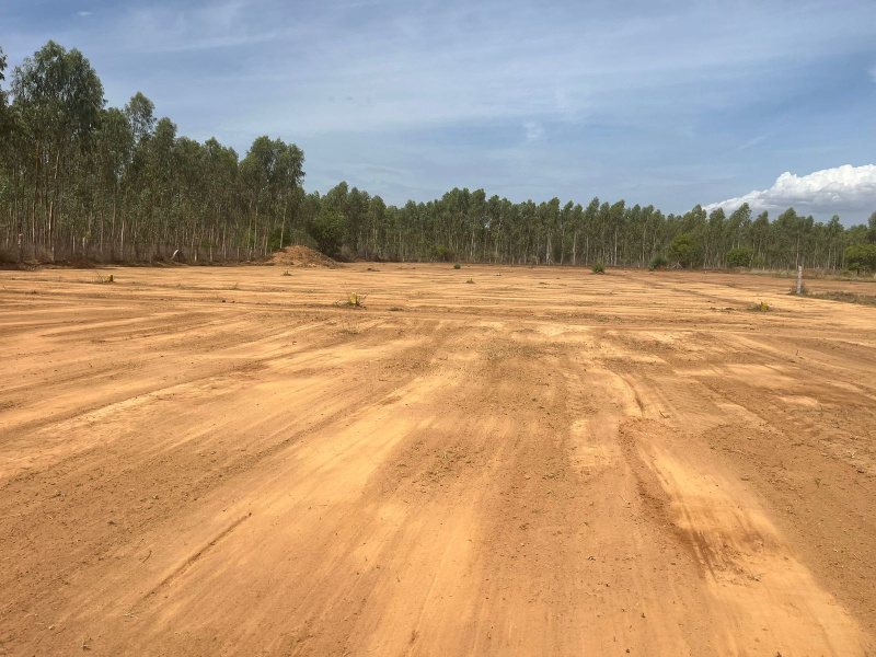  Residential Plot 1750 Sq.ft. for Sale in PANANGADI ROAD, Sivaganga