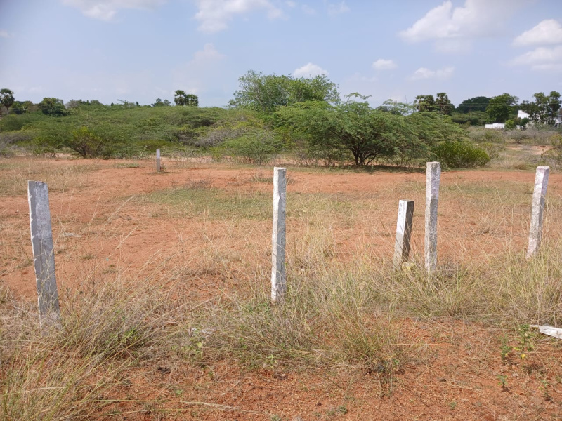  1750 Sq.ft. Commercial Land for Sale in Kanadukathan, Sivaganga