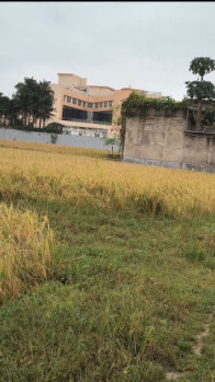  Residential Plot for Sale in Chand Chaura, Gaya