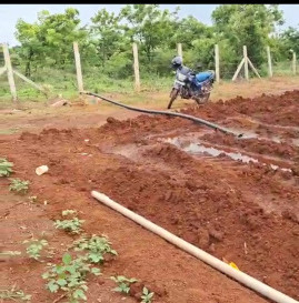  16 Acre Agricultural/Farm Land for Sale in Kadwad, Bidar