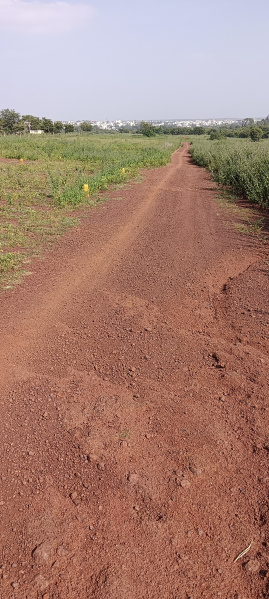  1200 Sq.ft. Residential Plot for Sale in Chidri, Bidar