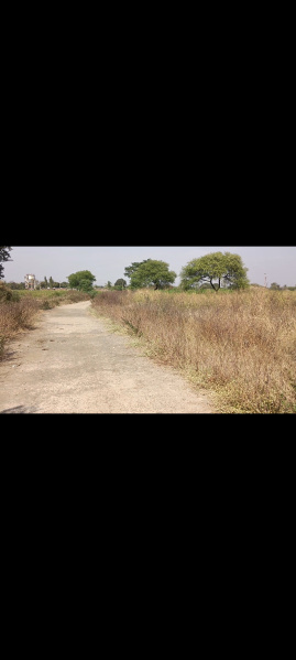  3 Acre Agricultural/Farm Land for Sale in Mirzapur Taj, Bidar
