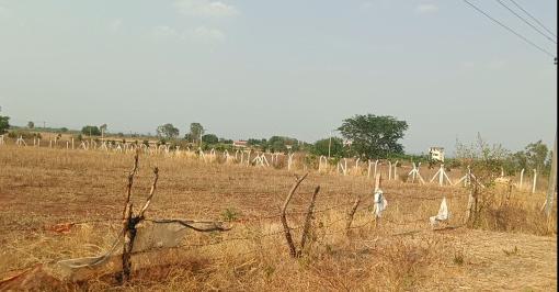  20 Guntha Agricultural/Farm Land for Sale in Bagdal, Bidar