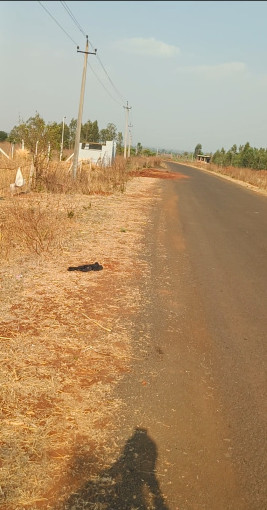  20 Guntha Agricultural/Farm Land for Sale in Bagdal, Bidar