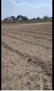  Agricultural Land for Sale in Kshipra, Dewas