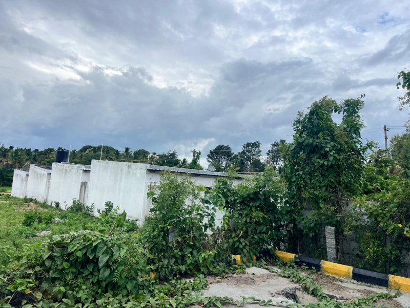  Commercial Land 1200 Sq.ft. for Sale in Hampapura, Bangalore