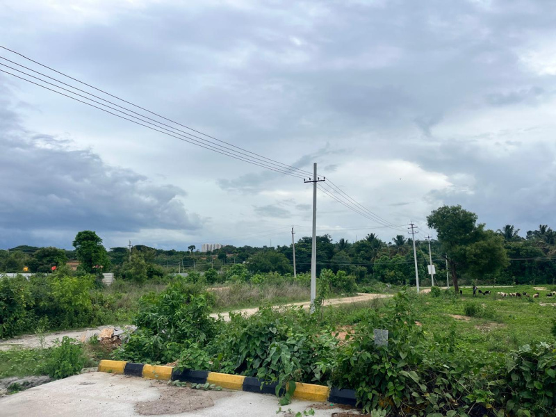  Commercial Land 1200 Sq.ft. for Sale in Hampapura, Bangalore