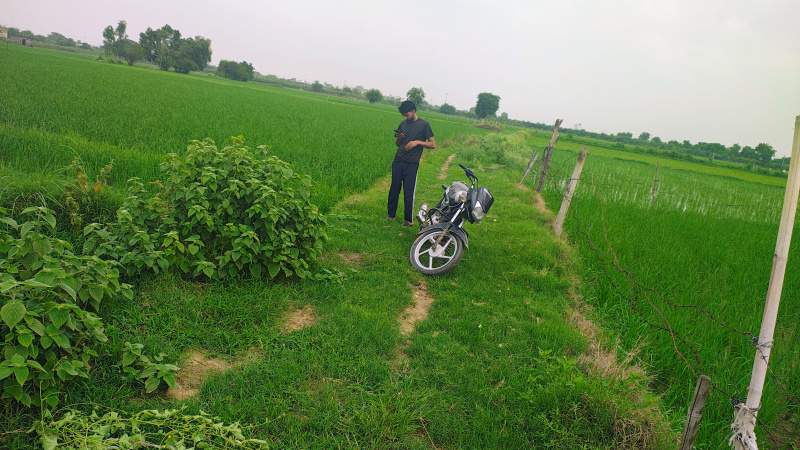  Residential Plot 1 Bigha for Sale in Wave City Sector 5, Ghaziabad
