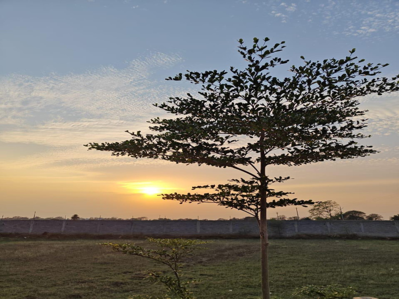  Residential Plot 1000 Sq.ft. for Sale in Kendri, Raipur
