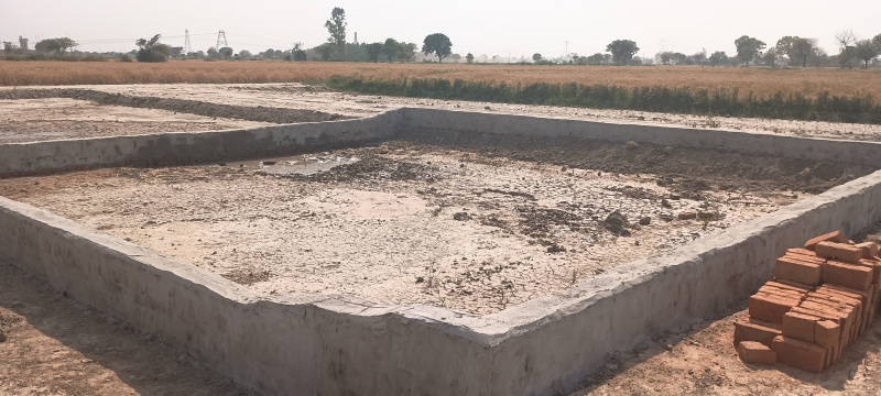  Residential Plot 100 Sq.ft. for Sale in NH 2, Palwal